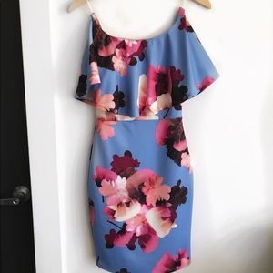 Floral Printed Off-the-Shoulder Dress